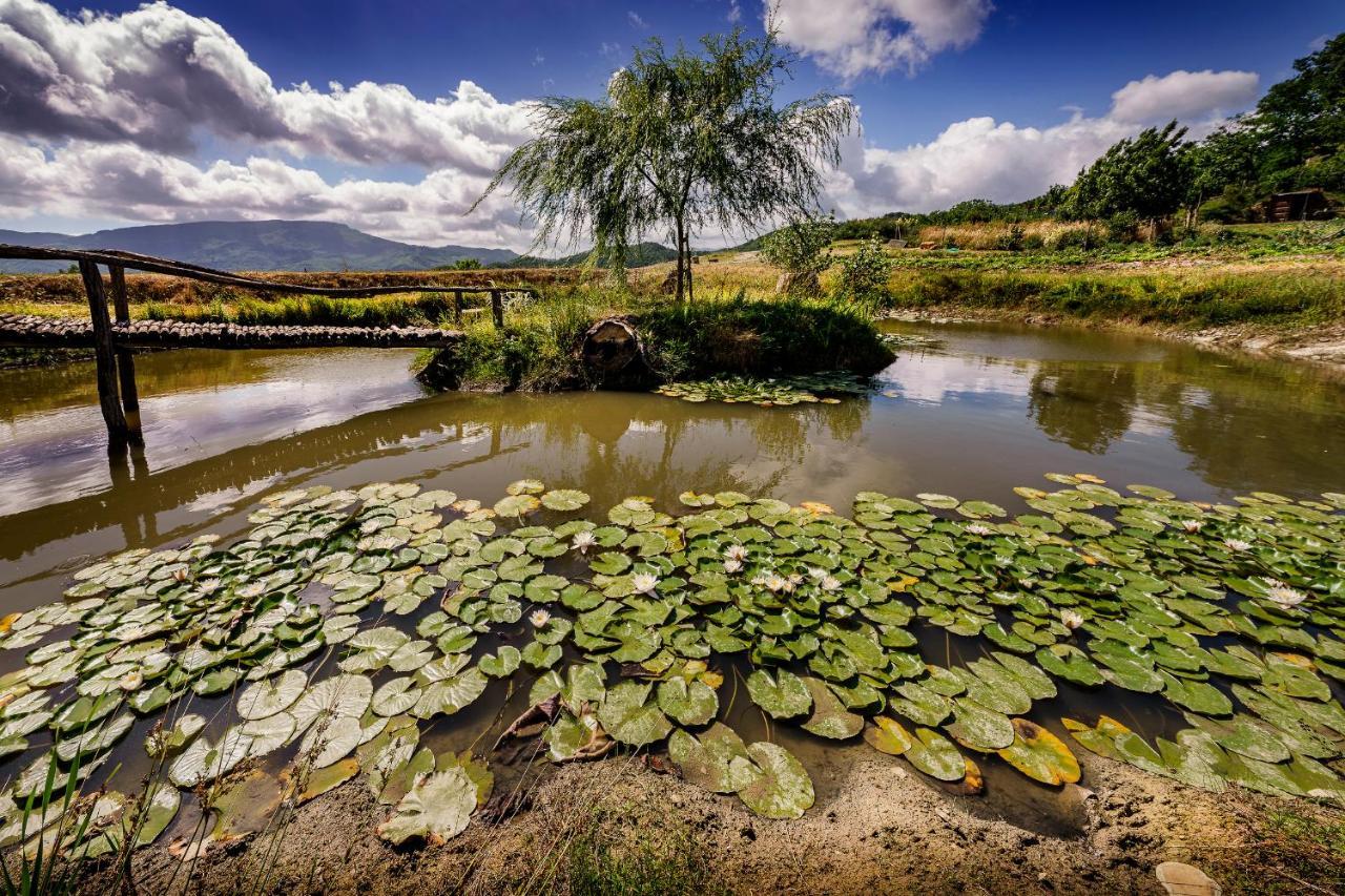 Agriturismo Biologico Autosufficienza 바뇨디로마냐 외부 사진