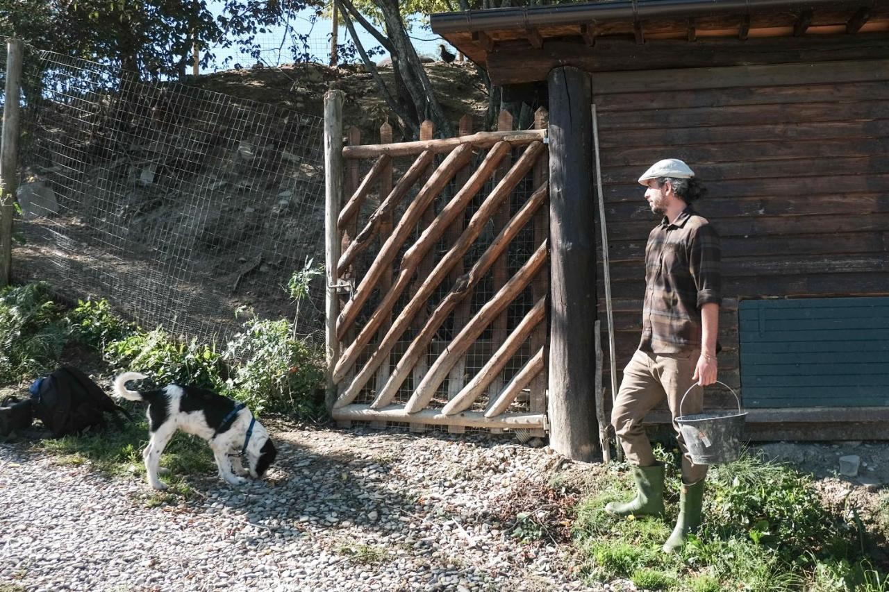 Agriturismo Biologico Autosufficienza 바뇨디로마냐 외부 사진