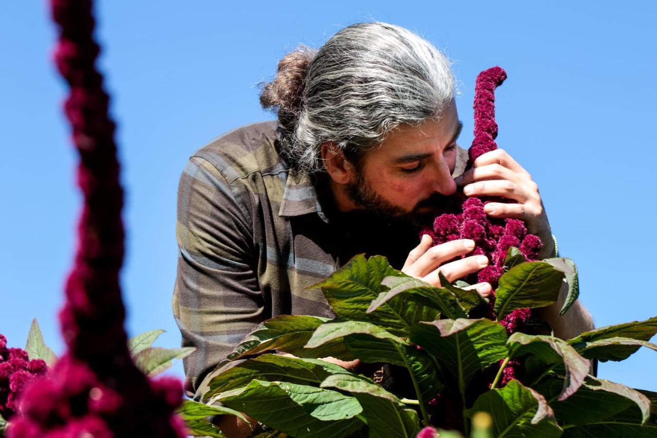 Agriturismo Biologico Autosufficienza 바뇨디로마냐 외부 사진