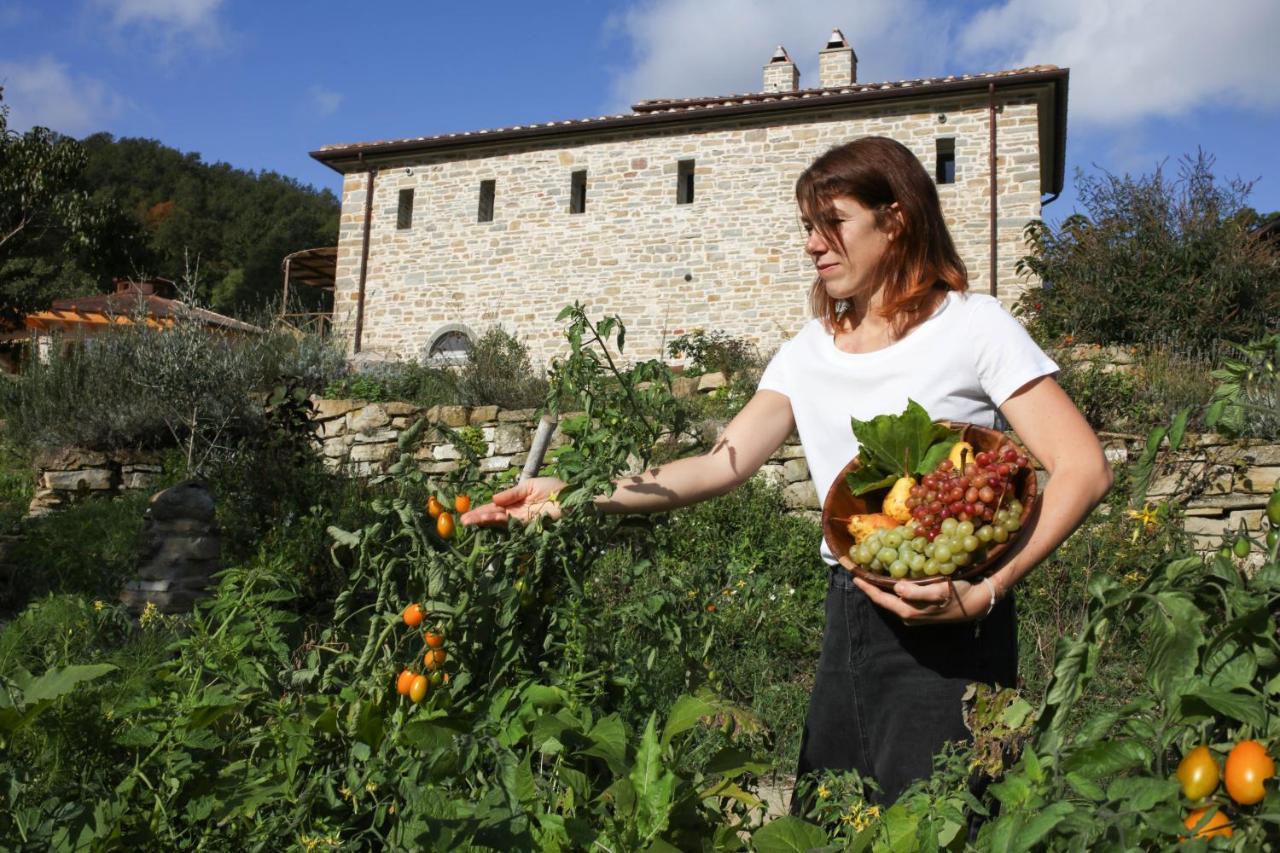 Agriturismo Biologico Autosufficienza 바뇨디로마냐 외부 사진
