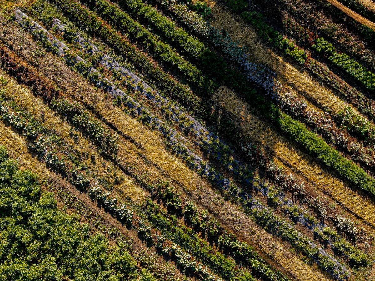 Agriturismo Biologico Autosufficienza 바뇨디로마냐 외부 사진